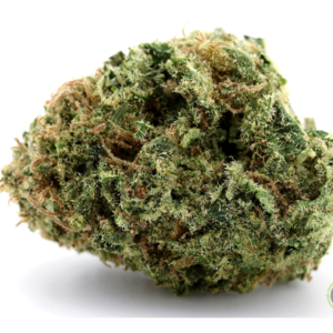 Lemon Cherry Gelato (Hybrid)