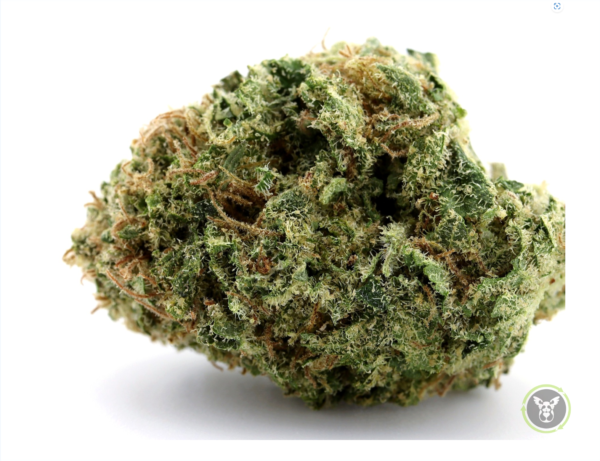 Bubble Gum (hybrid)