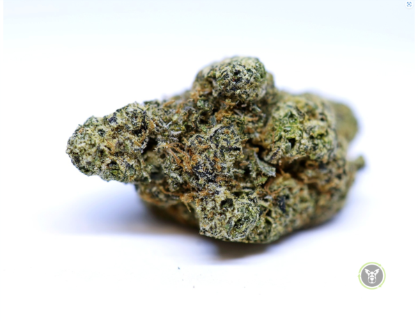 Black Cherry Gelato (Hybrid)