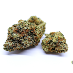 Mochi (Hybrid)