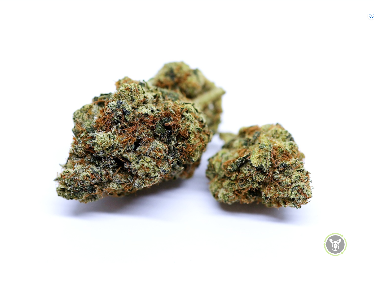 Mochi (Hybrid)