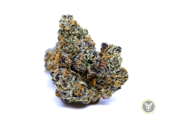 Watermelon Z (Indica)