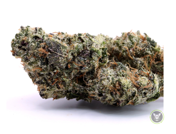 Lemon Cherry Gelato (Hybrid)