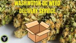 Washington DC Weed Delivery Service