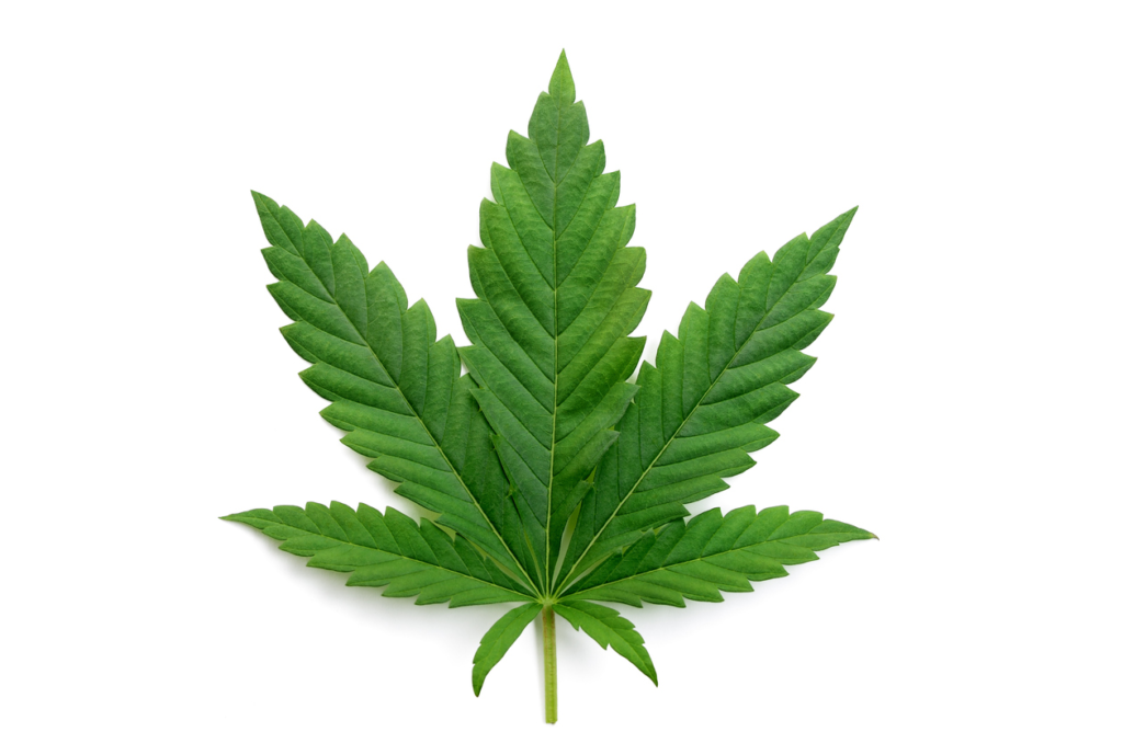 online cannabis ordering Virginia