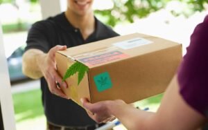 the-best-cannabis-delivery-services-hero