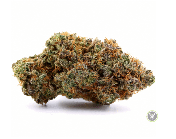 007 (Sativa)