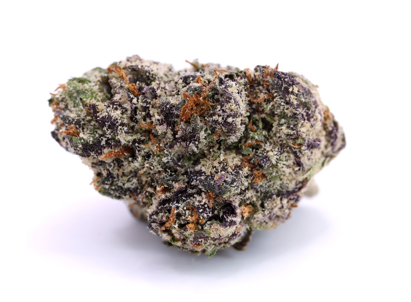 Slurpie (Hybrid)